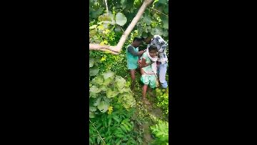 A collection of drunk girls, women, naked at home and on the streets 440