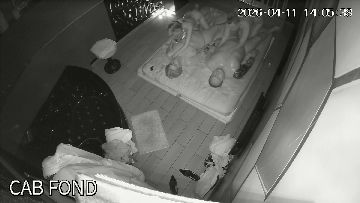 Erotic massage caught on ip cam 86