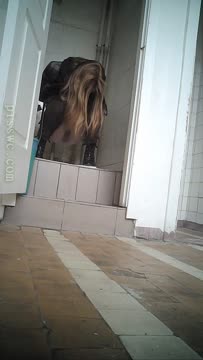 Girls Peeing 141