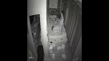 Hacked ipcam 663