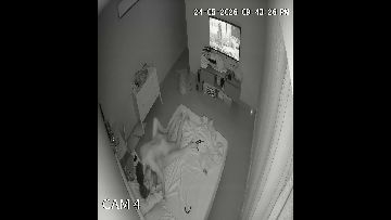 Hacked ipcam 668