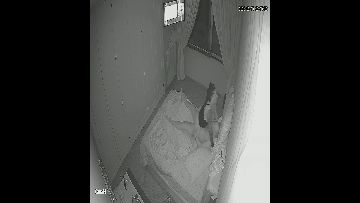 Hacked ipcam 698